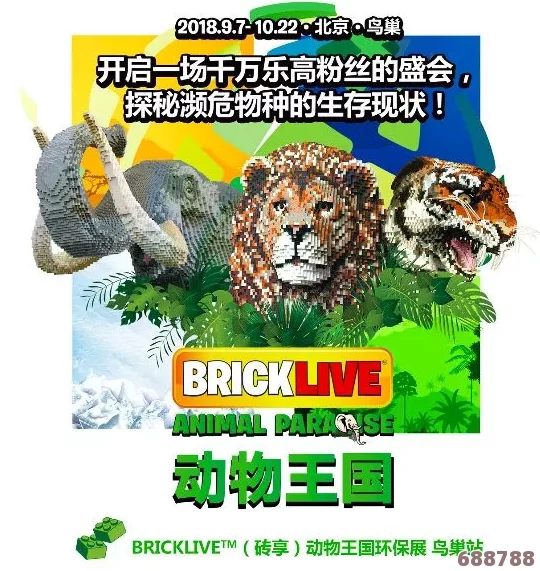 探秘《集合啦！动物森友会》梦见岛：十大不可错过的梦境生存与探险要点！