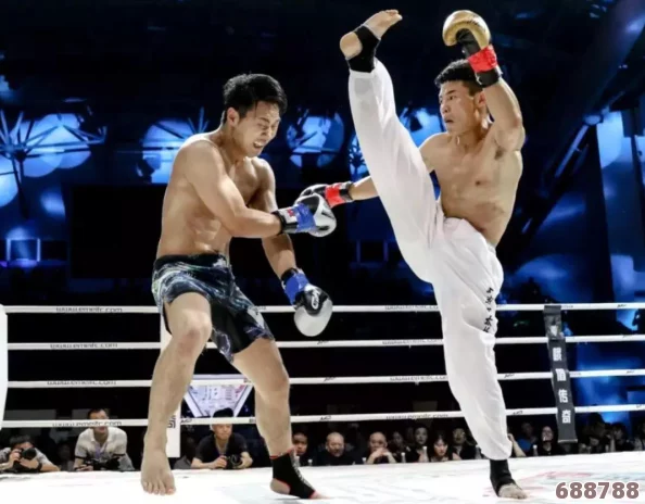 《武林立志传》深度：全面解锁道具修改技巧与秘籍