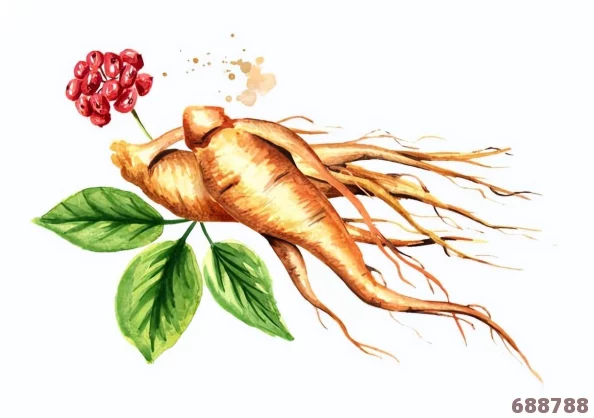 人参果：传奇生物二阶全植物单位，属性大公开，解锁自然奇迹新篇章！