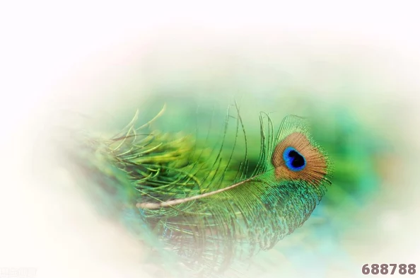 未精炼念气结晶:神秘力量源泉与多元用途探秘 未精炼念气结晶:神秘力量源泉与多元用途探秘