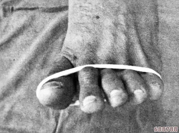 朝国年经继拇2更新了吗?用户积极评价新版本带来的游戏体验与改进分析 朝国年经继拇2更新了吗?用户积极评价新版本带来的游戏体验与改进分析