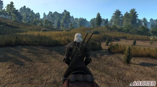 《巫师3：狂猎》剑油高效涂抹技巧，助你战无不胜的利器打造法！