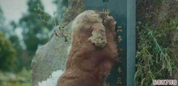 皇后被赐精和狗赐精:一场关于权力与忠诚的惊人故事,揭示了隐藏在权力背后的秘密与阴谋 皇后被赐精和狗赐精:一场关于权力与忠诚的惊人故事,揭示了隐藏在权力背后的秘密与阴谋