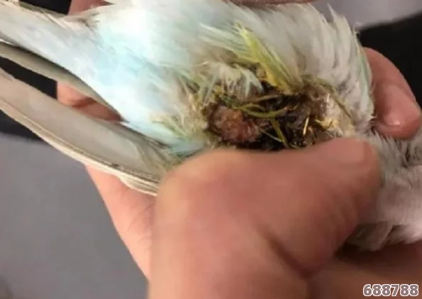 《我的世界》:高效驯服鹦鹉的趣味秘籍与技巧 《我的世界》:高效驯服鹦鹉的趣味秘籍与技巧