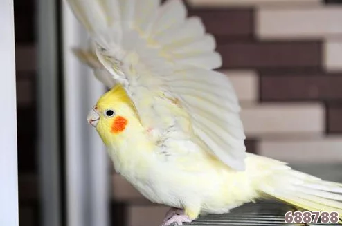 《我的世界》:高效驯服鹦鹉的趣味秘籍与技巧 《我的世界》:高效驯服鹦鹉的趣味秘籍与技巧