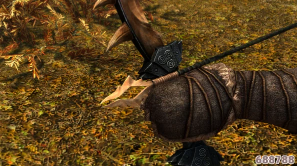 《上古卷轴5》：龙骨箭的神秘代码全解析！