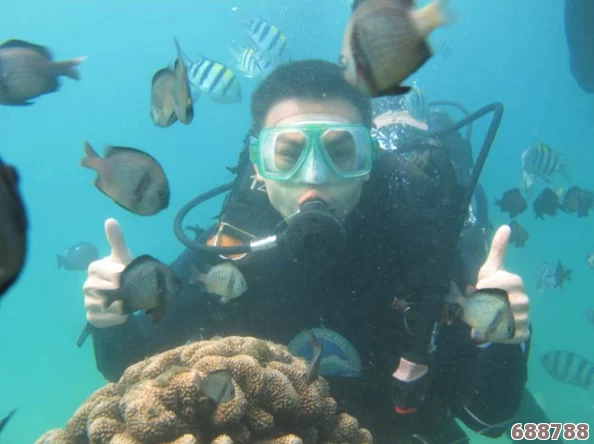 在海角破解的深海探险中，用户评价与见解为我们揭示了未知的可能性与挑战