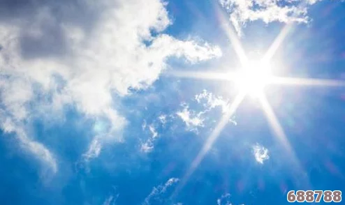 夏晴子：她的乐观和坚定如夏日阳光，温暖了周围每一个人的心灵与生活