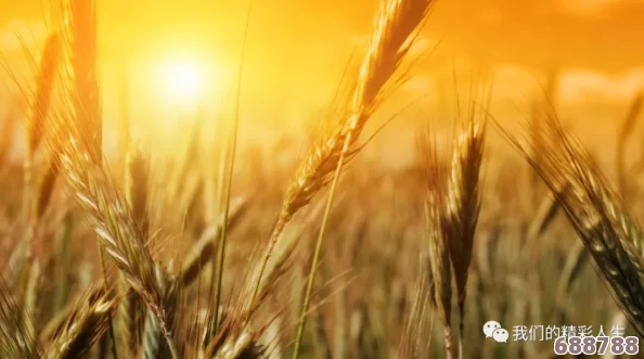 交换朋友麦子2的背景故事揭示了人性深处的复杂情感,网友称其为“心灵成长之旅”的真实写照 交换朋友麦子2的背景故事揭示了人性深处的复杂情感,网友称其为“心灵成长之旅”的真实写照