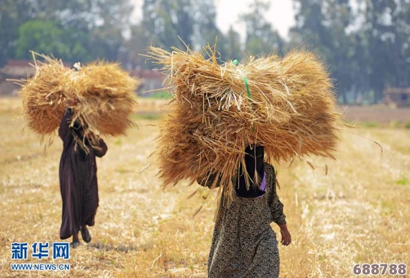 交换朋友麦子2的背景故事揭示了人性深处的复杂情感,网友称其为“心灵成长之旅”的真实写照 交换朋友麦子2的背景故事揭示了人性深处的复杂情感,网友称其为“心灵成长之旅”的真实写照