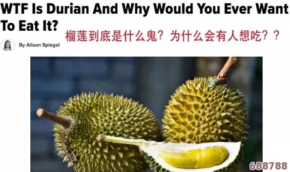 榴莲视频黄色网站：一场令人欲罢不能的视觉盛宴,让你大饱眼福的奇妙体验