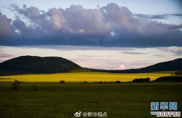 花季传：倾听花开时节的心声与感悟，领悟青春岁月的每一份感动与期待