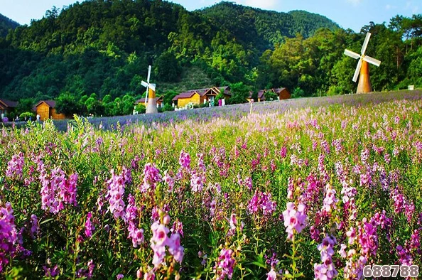 坤坤寒进桃子里嗟嗟免,昌盛春意浓,桃花馥郁映桃园,蔚然成景引人醉 坤坤寒进桃子里嗟嗟免,昌盛春意浓,桃花馥郁映桃园,蔚然成景引人醉