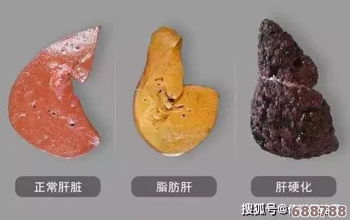 老公每天吃我小花园的蔬菜会伤肝吗？听听专家的分析和健康建议