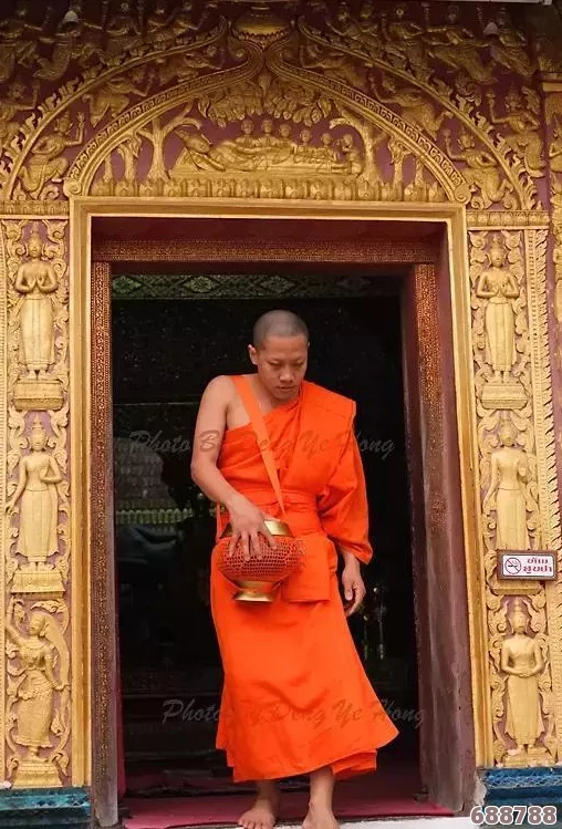 缅甸14ay18_XXXXXL56endian：神秘代码揭秘东南亚隐藏宝藏，冒险家蠢蠢欲动
