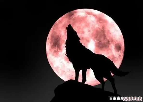 自尽的狼妖：月下血影,谁主沉浮？一场惊心动魄的妖界生死博弈