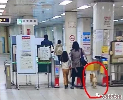 混乱小镇售票员用b检票，谁能破解这场荒诞闹剧？票根迷宫等你来挑战！
