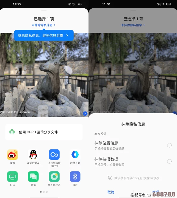 谷露视频：让每一个瞬间都绽放出真实的美好，带你领略不一样的精彩视觉之旅