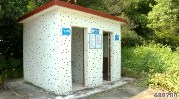 国内沟厕高清正拍：探秘隐藏的风景线，揭开城乡卫生设施的神秘面纱