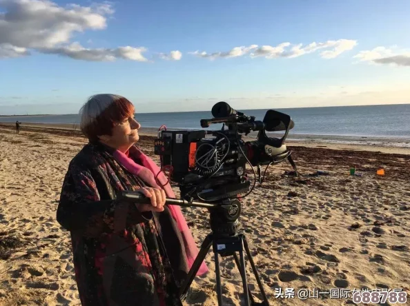 蘑菇短视频app免费版本下载，用户一致好评，轻松获取影视精彩内容与创意短片！