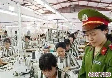 逃脱孕妇精灵与森之馆图片：感受奇幻冒险中的精致细节与神秘氛围的完美结合