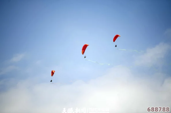 旅行者和丽莎拔萝卜：探讨人与自然的和谐共生以及旅行的独特体验