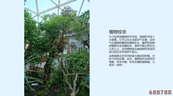 滴灌智慧，绿意盎然：自动灌溉系统by应照离，让植物畅饮生命之源