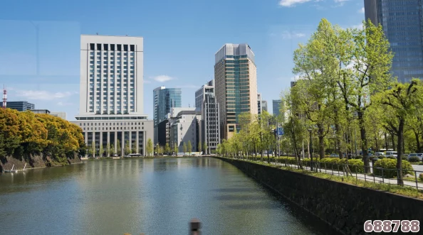 日本久久久久久：樱花飞舞中邂逅浪漫,体验东瀛风情万种