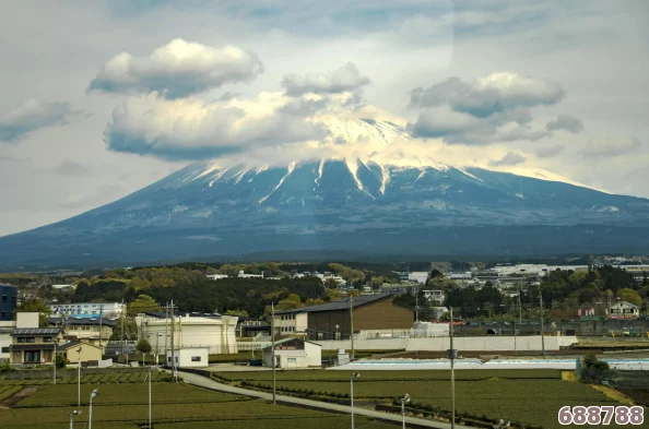 日本久久久久久:樱花飞舞中邂逅浪漫,体验东瀛风情万种 日本久久久久久:樱花飞舞中邂逅浪漫,体验东瀛风情万种