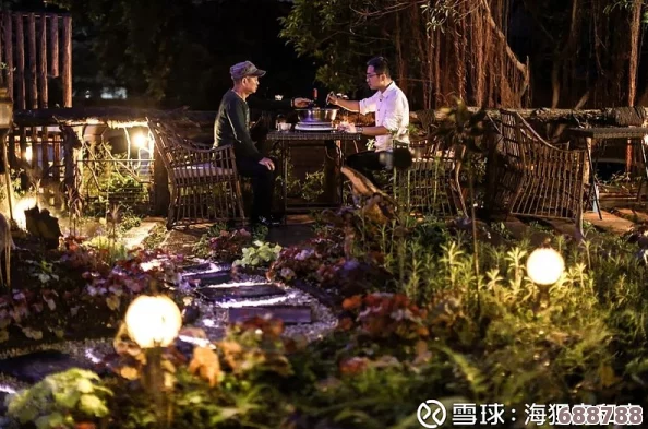 黑聊网：暗夜中的秘密花园,你敢来探索这个神秘的社交乐园吗？