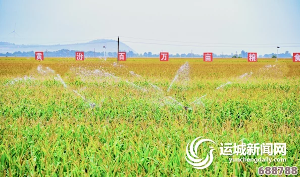 优质灌溉系统唐宁：用户纷纷称赞其高效水资源利用率，极大提升农作物产量与品质