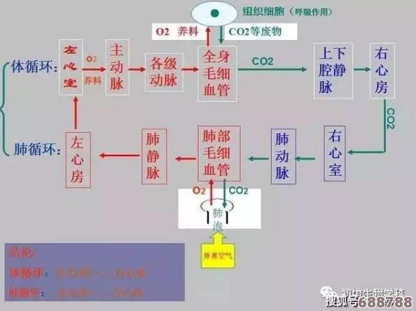 生物老师上课亲自给我们展示自己，深入解析知识点激发学生学习热情与探索精神