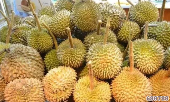 草莓香蕉樱桃黄瓜丝瓜榴莲污榴莲，独特口感与新鲜果味融合，探索奇妙的夏日盛宴体验