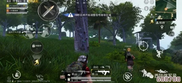 深度体验：战术布局与游戏心得的激情碰撞