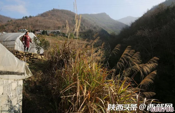 农村妇女毛茸茸，田间地头巧手织，绿水青山绣锦绣