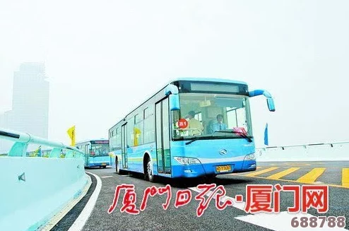 颠簸的公交车：乘客体验与城市交通的挑战，为何每次出行都是一场冒险探索