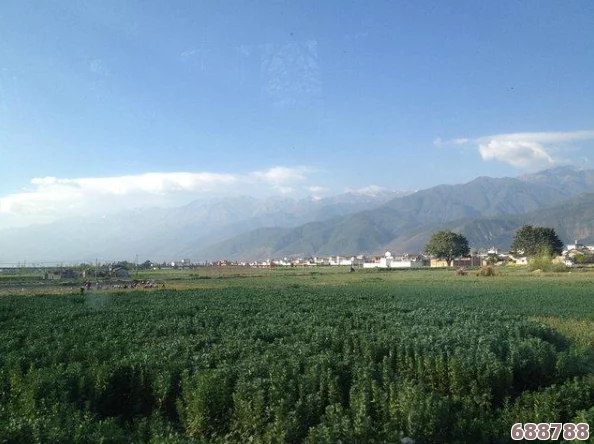 桃花源口水潺潺，流淌着如诗如画的自然风光，承载着人们对世外桃源的美好向往与深情回忆