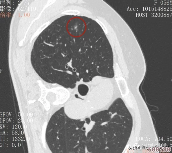 深度解锁《疯狂边缘》全攻略秘籍，专属策略助你挑战极限边界！