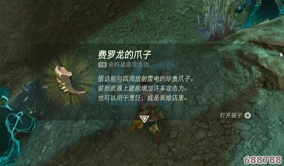 费罗龙鳞片的神奇用途：从力量增强到宝藏解锁的无限可能！