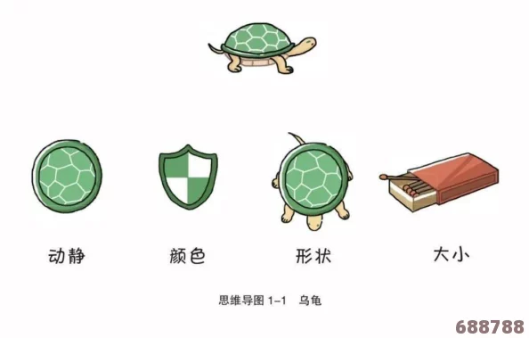 探索趣味乌龟服，儿童专属周任务精彩流程