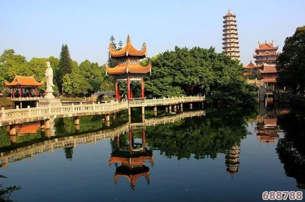 乌龟服无法窗口化？一键解决，畅享游戏新体验！