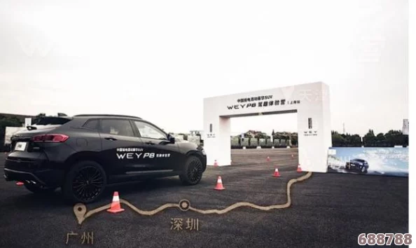 狂野泊车：价格背后，体验极致驾驶激情的代价！