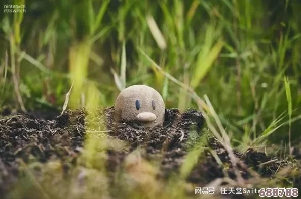 探索宝可梦世界：朱紫版由基拉的神秘栖息地！