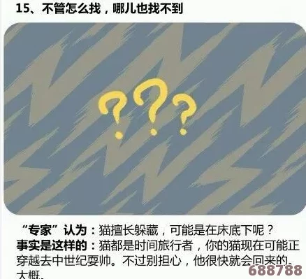 深入解析：'noc'一词背后的多重含义与应用场景