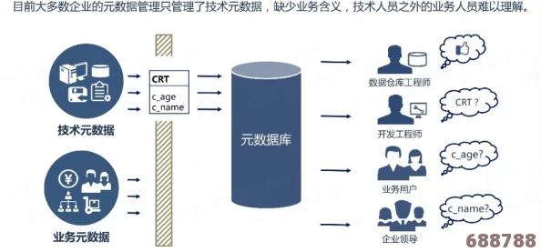 深入解析：'noc'一词背后的多重含义与应用场景