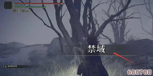 深入解析：艾尔登法环中尸山血海的恐怖属性与独特效果！