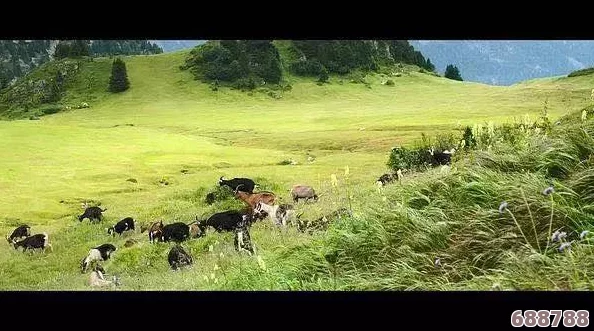 《荒野大镖客2》探秘:阿尔卑斯山羊隐居何处,寻找山脉之巅的珍稀踪迹! 《荒野大镖客2》探秘:阿尔卑斯山羊隐居何处,寻找山脉之巅的珍稀踪迹!