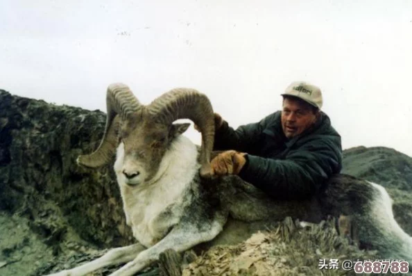 深度《直到黎明》：剧情分支、致命选择与角色多样死法全解析！