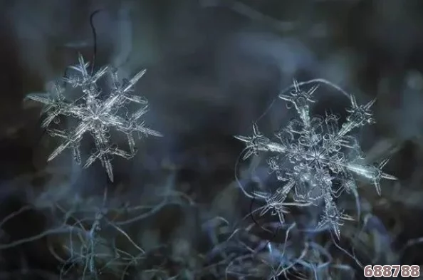 雪花沉睡绝技：一招一式深度解析，领略冬日奇景之奥秘