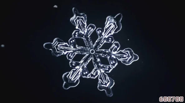 雪花沉睡绝技：一招一式深度解析，领略冬日奇景之奥秘